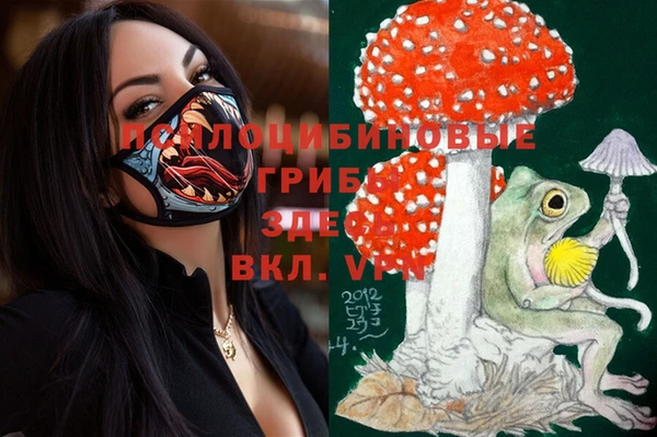 мяу мяу мука Аркадак