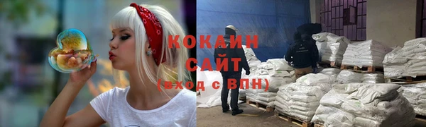 мяу мяу мука Аркадак