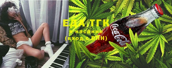 индика Армянск