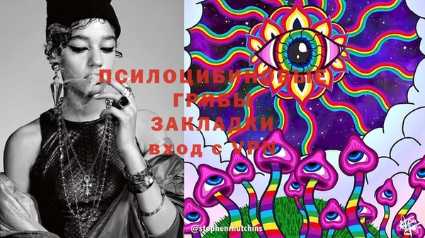 мяу мяу мука Аркадак