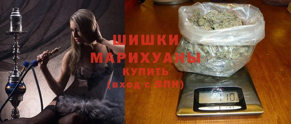 индика Армянск
